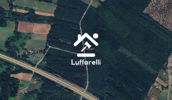 appartamento in vendita a Colfelice