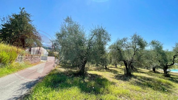 terreno agricolo in vendita a Colfelice