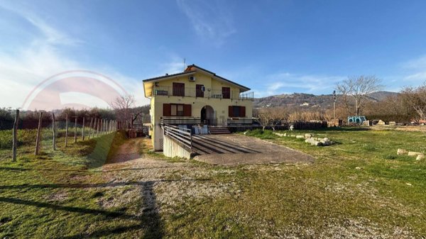 appartamento in vendita a Colfelice