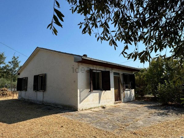 casa indipendente in vendita a Colfelice