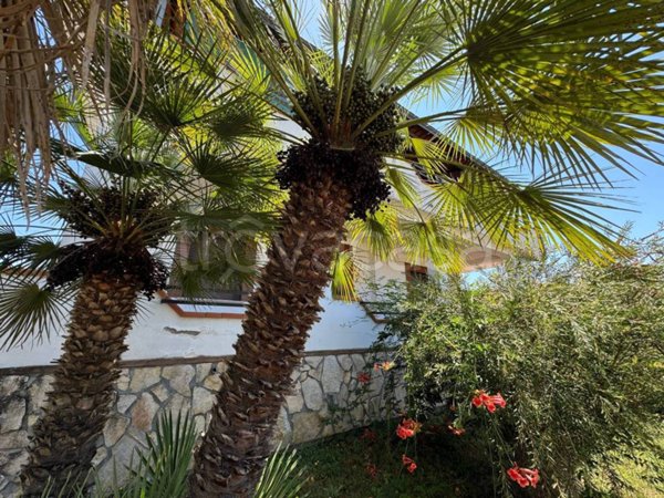 casa indipendente in vendita a Colfelice in zona Villafelice