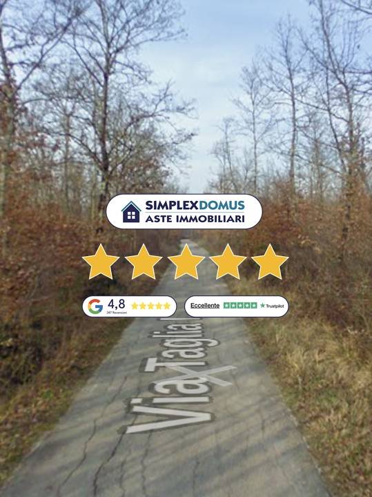 casa indipendente in vendita a Colfelice