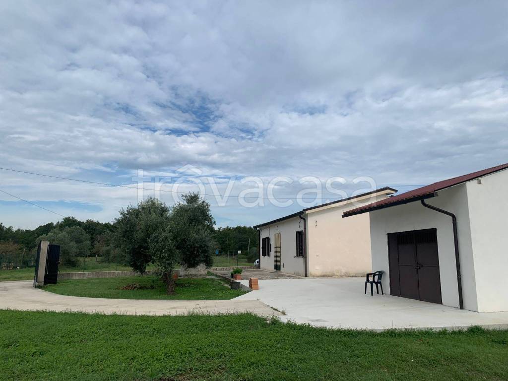 casa indipendente in vendita a Colfelice