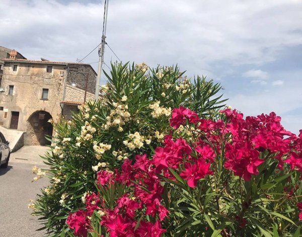 casa indipendente in vendita a Colle San Magno