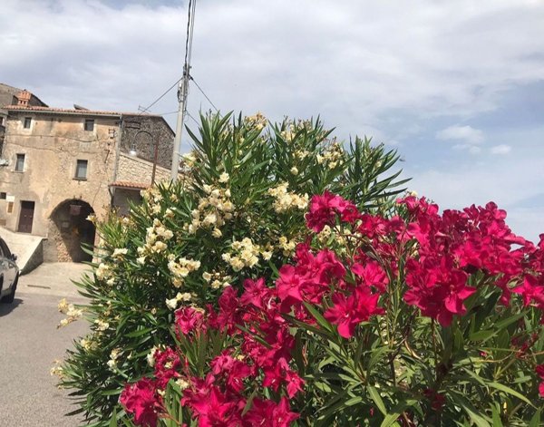 casa indipendente in vendita a Colle San Magno