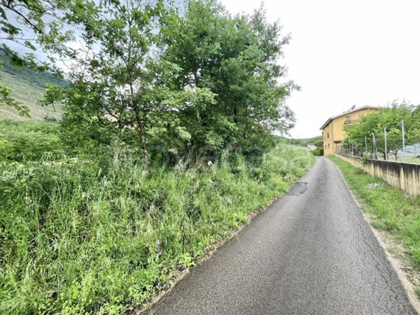 terreno agricolo in vendita ad Esperia