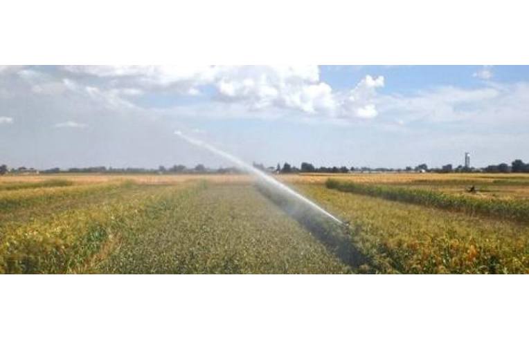 terreno agricolo in vendita ad Esperia