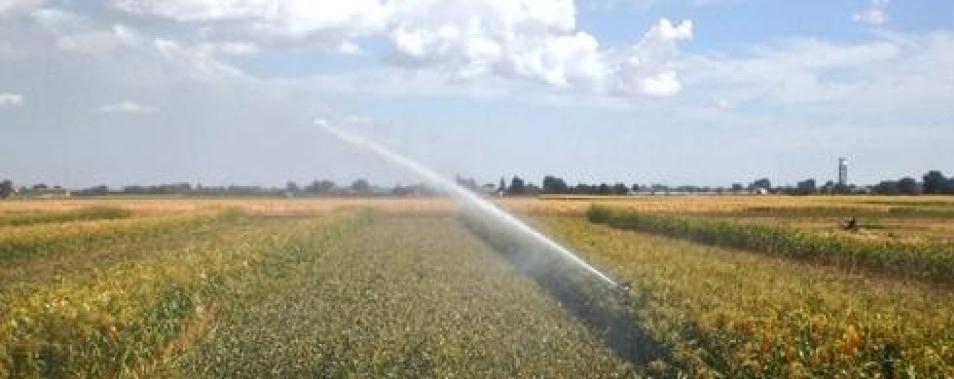 terreno agricolo in vendita ad Esperia