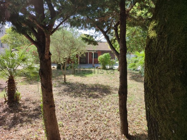 casa indipendente in vendita ad Esperia
