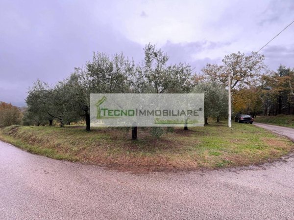 terreno agricolo in vendita ad Esperia in zona Monticelli