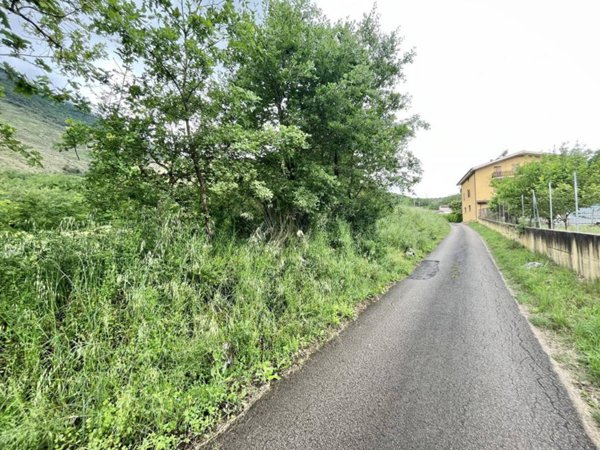 terreno agricolo in vendita ad Esperia
