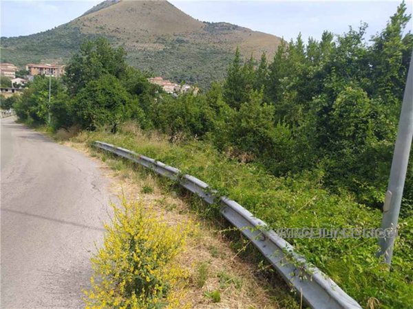 terreno in vendita ad Esperia