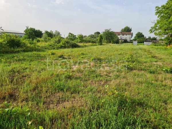 terreno agricolo in vendita a Ferentino