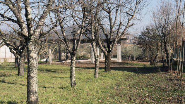casa indipendente in vendita a Ferentino