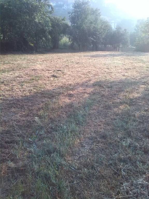 terreno agricolo in vendita a Ferentino