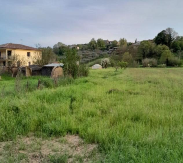 terreno agricolo in vendita a Ferentino