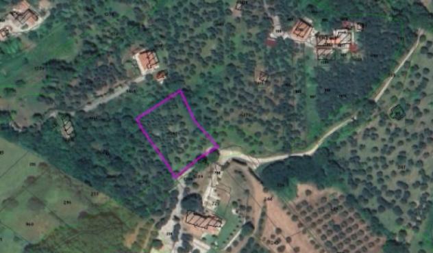 terreno agricolo in vendita a Ferentino