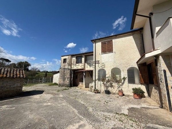 esavano in vendita a Ferentino