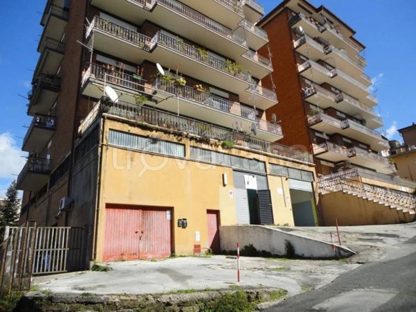negozio in vendita a Ferentino