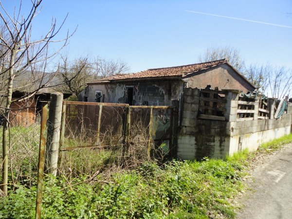 immagine annuncio 0 di 1