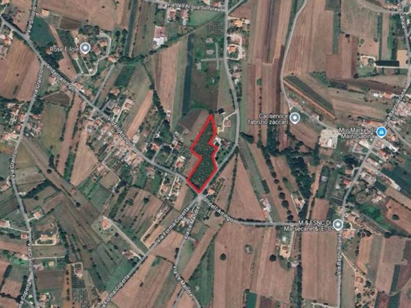 terreno agricolo in vendita a Ferentino
