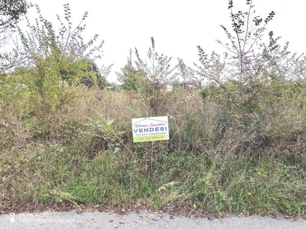 terreno agricolo in vendita a Ferentino