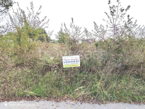 terreno agricolo in vendita a Ferentino