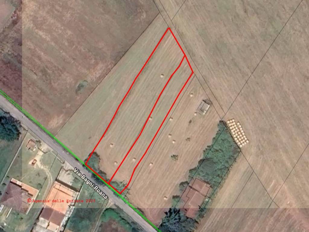 terreno agricolo in vendita a Ferentino