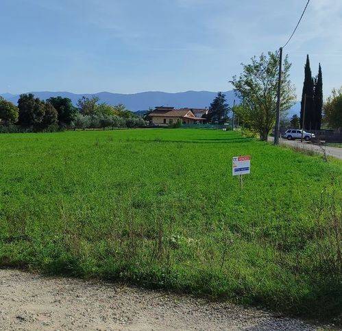 terreno agricolo in vendita a Ferentino