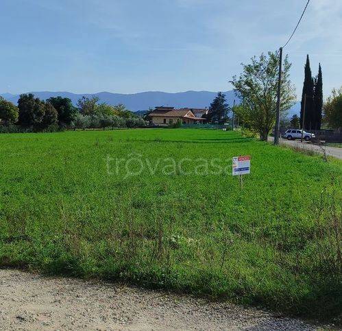 terreno agricolo in vendita a Ferentino