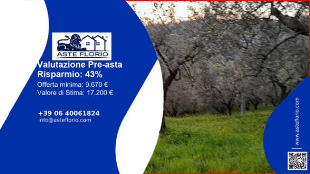 terreno agricolo in vendita a Ferentino