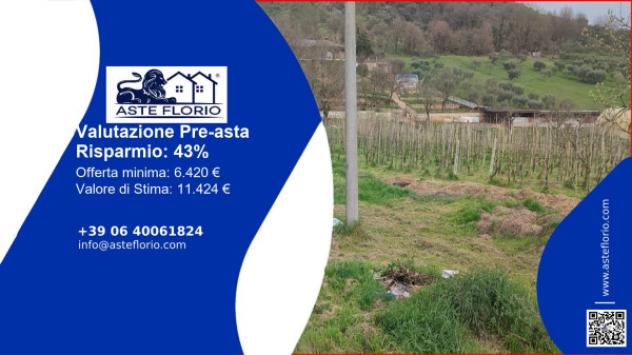 terreno agricolo in vendita a Ferentino