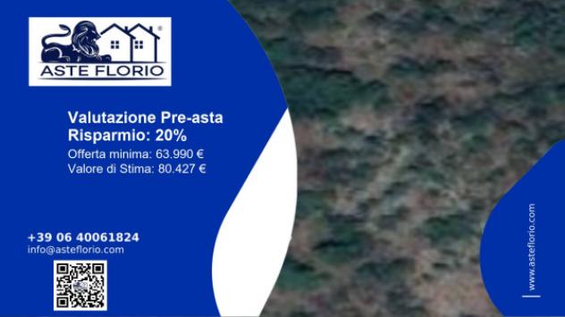 terreno agricolo in vendita a Ferentino