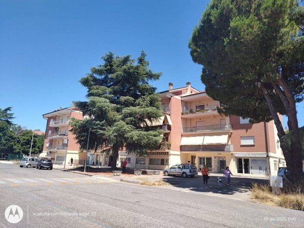 appartamento in vendita a Ferentino