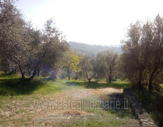 terreno agricolo in vendita a Ferentino