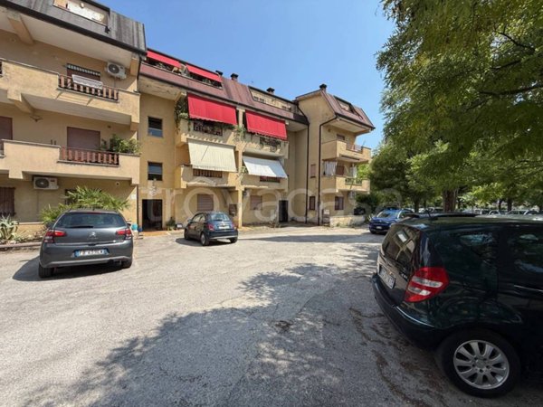 appartamento in vendita a Ferentino