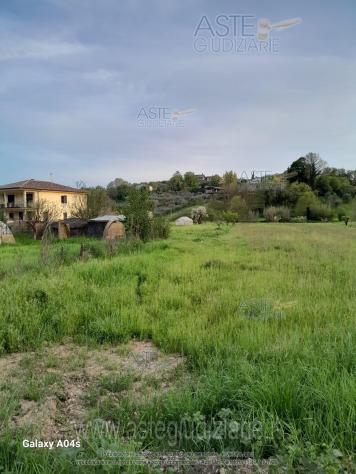 terreno agricolo in vendita a Ferentino