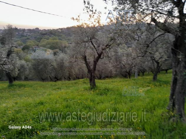 terreno agricolo in vendita a Ferentino