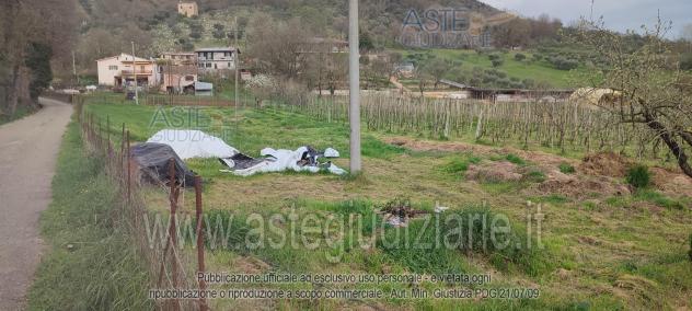 terreno agricolo in vendita a Ferentino