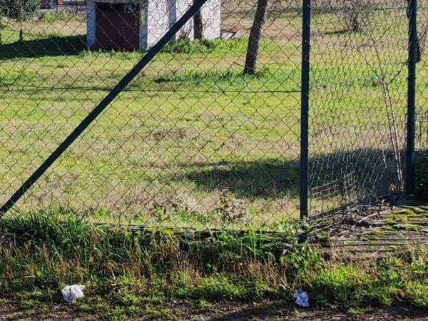 negozio in vendita a Ferentino