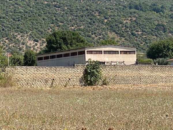 terreno agricolo in vendita a Ferentino