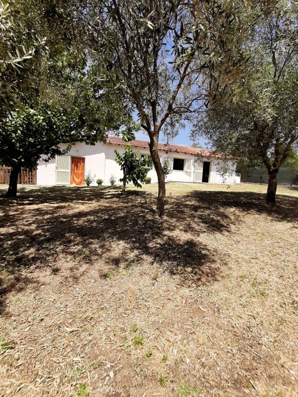 casa indipendente in vendita a Ferentino