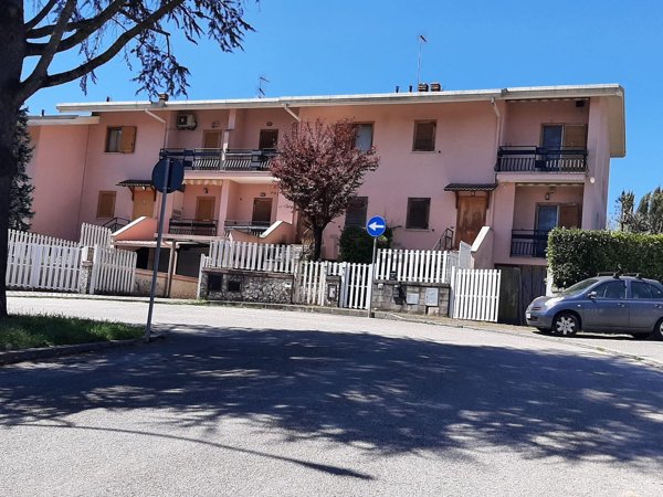 esavano in vendita a Ferentino