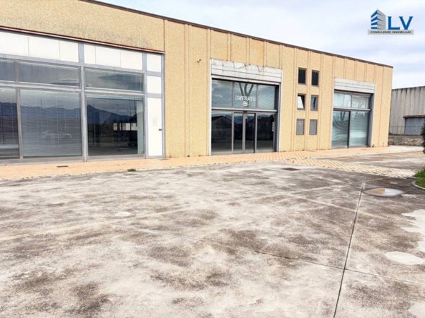 negozio in vendita a Ferentino