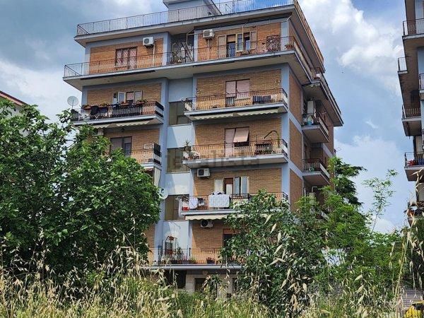 appartamento in vendita a Ferentino