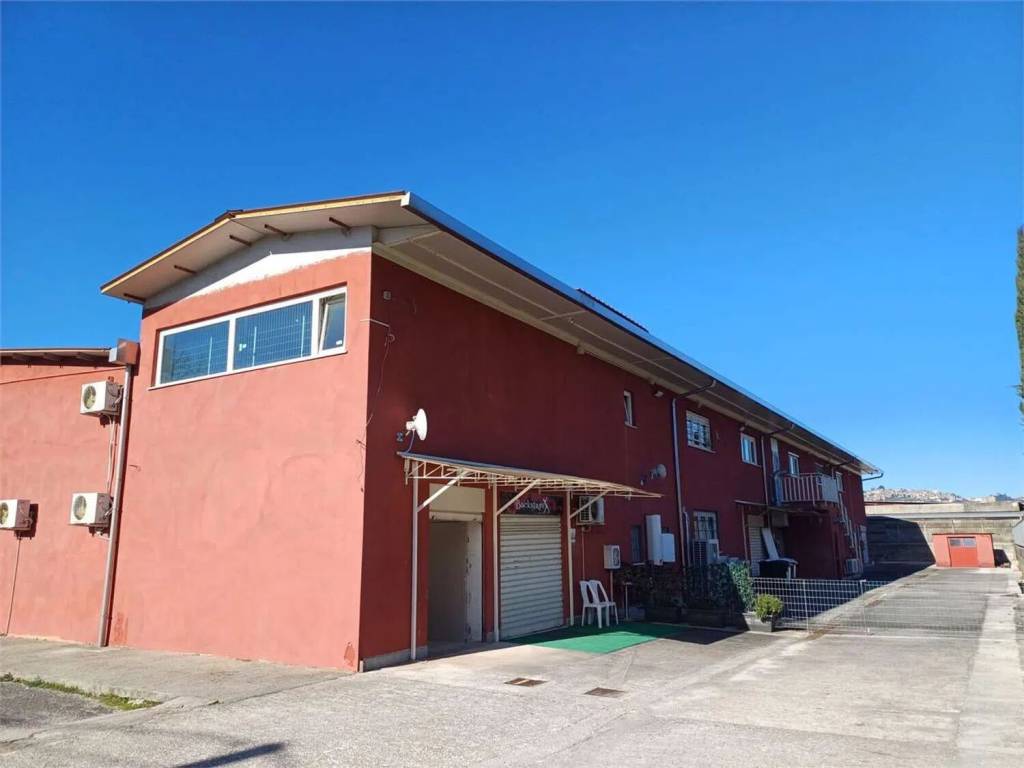 negozio in vendita a Ferentino