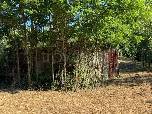 casa indipendente in vendita a Ferentino