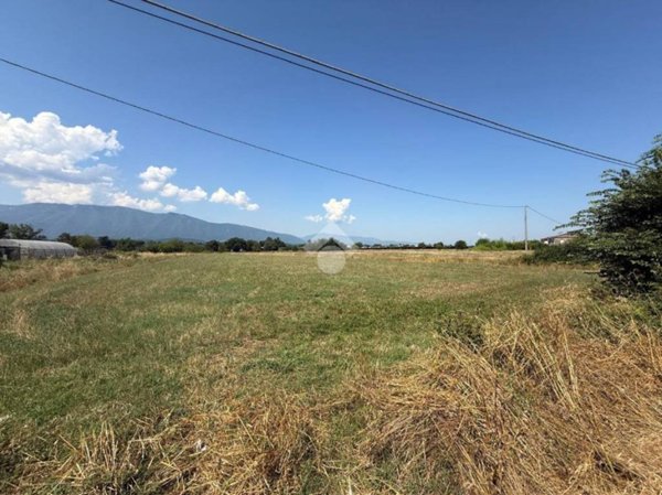 terreno agricolo in vendita a Ferentino