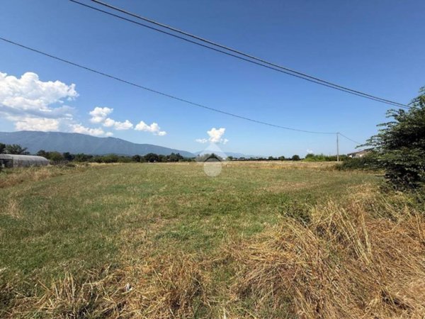 terreno agricolo in vendita a Ferentino