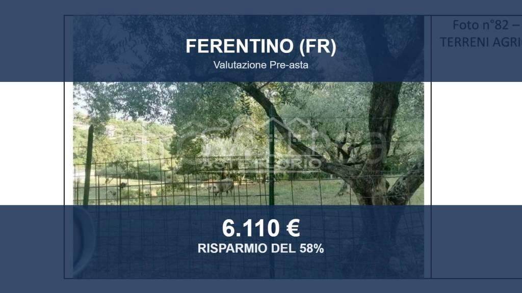 terreno agricolo in vendita a Ferentino